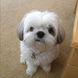 Meet your Posher, Jackie